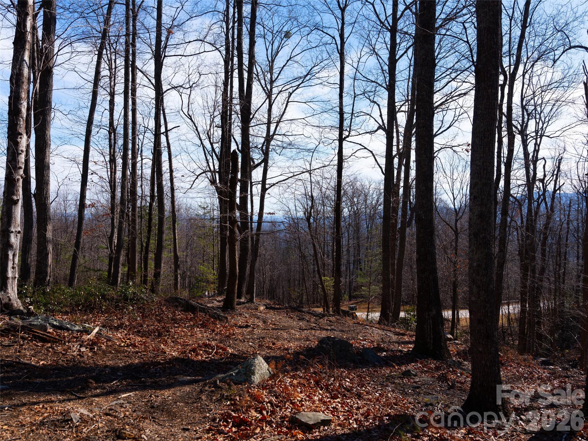 220 Chesterfield Drive Mill Spring, NC 28756 - Photo 6 of 34 a view of backyard with green space