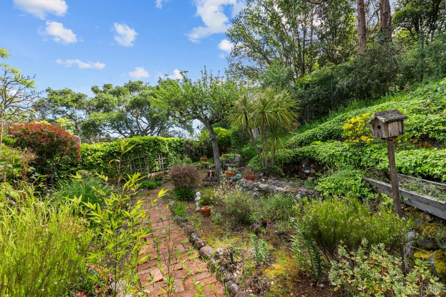 321 Laurel Way Mill Valley, CA 94941 - Photo 27 of 35