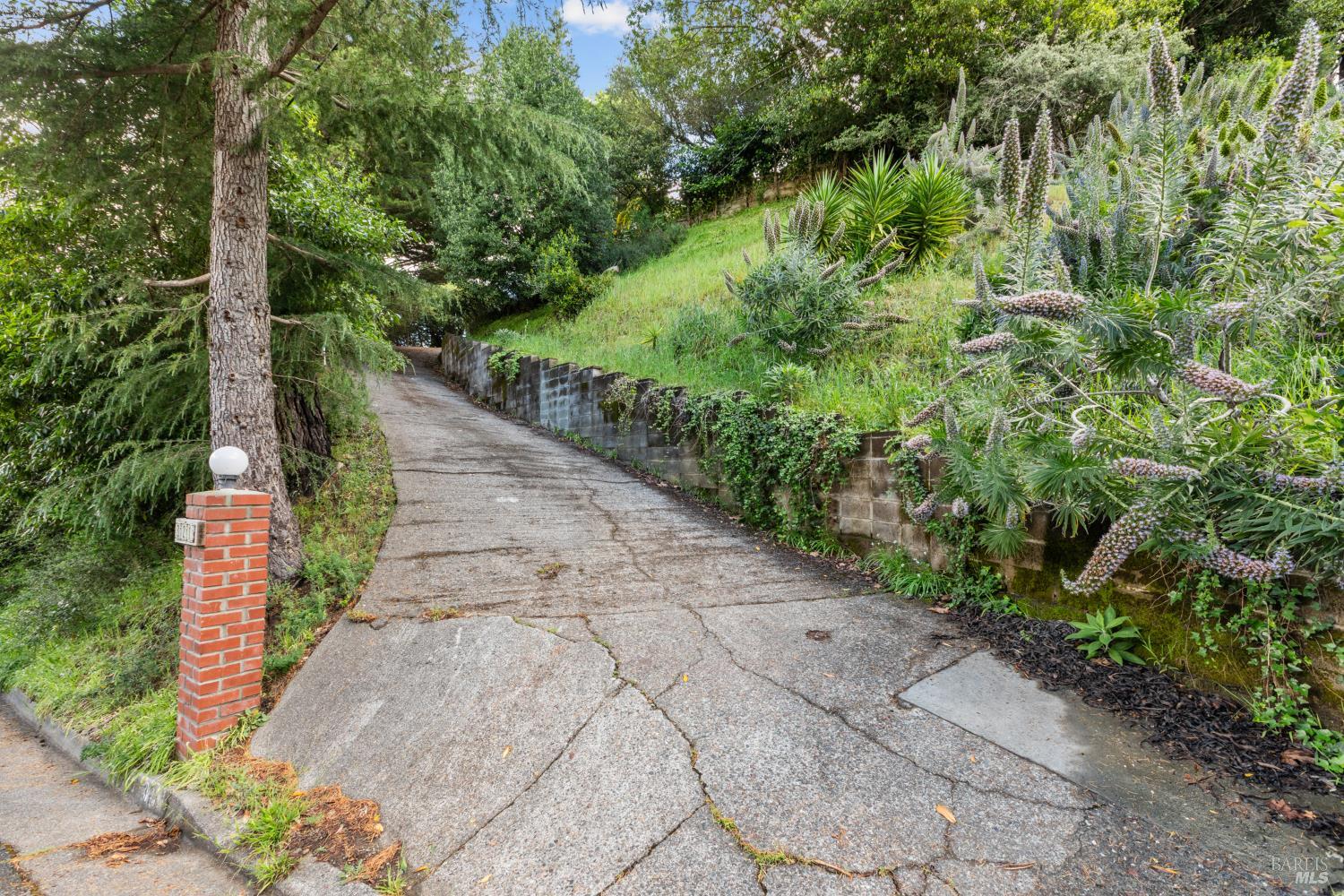 321 Laurel Way Mill Valley, CA 94941 - Photo 30 of 35
