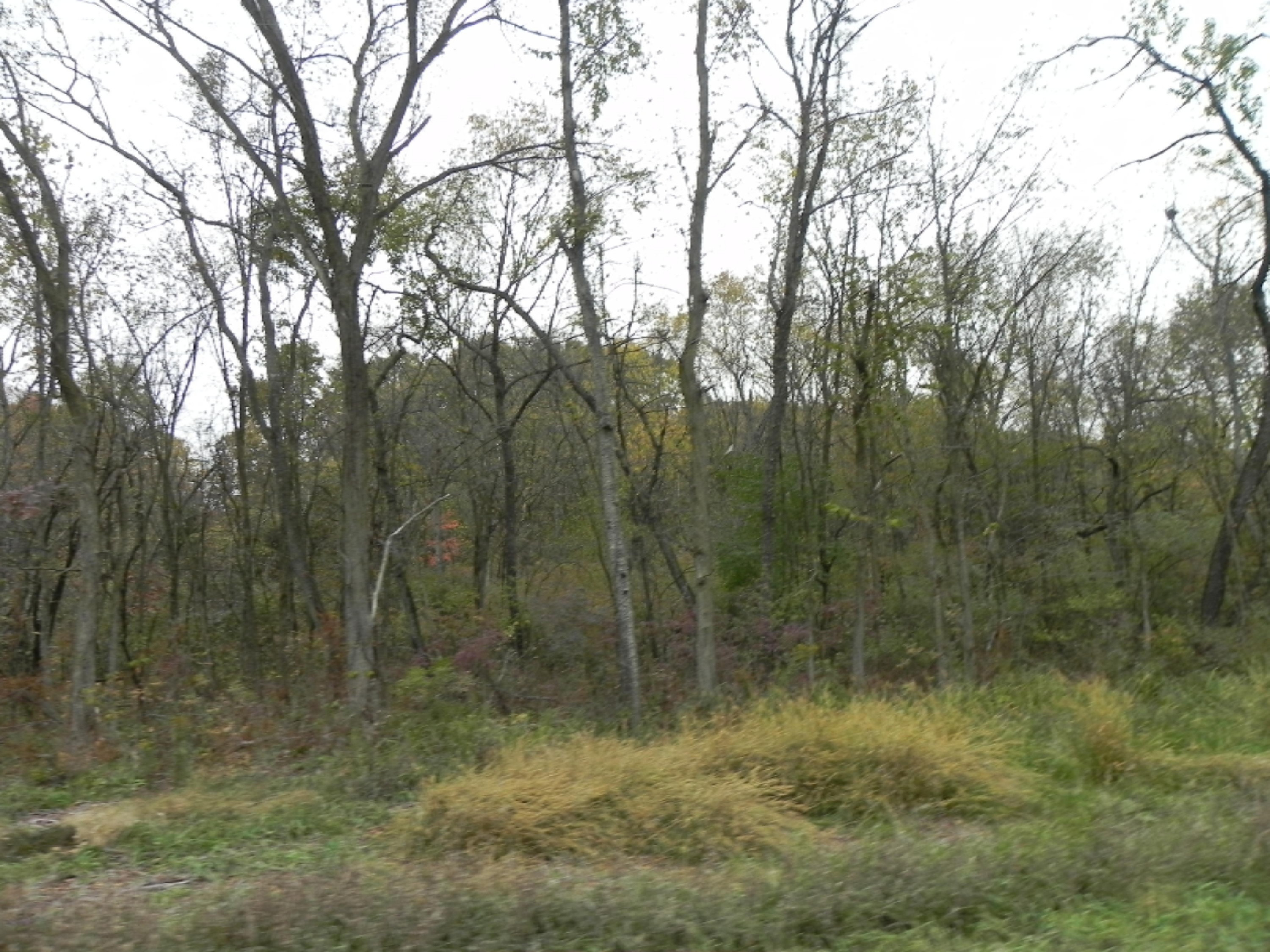 41820 Cr 352 Decatur Mi 49045 Decatur, MI 49045 - Photo 19 of 21 DSCN7237