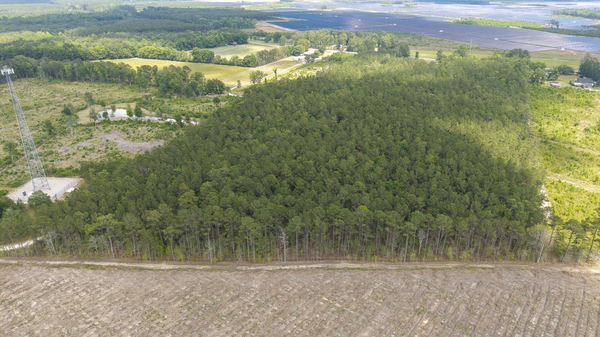 6222 Saints Delight Road, Unit LOT 8 Georgetown, SC 29440 - Photo 13 of 26