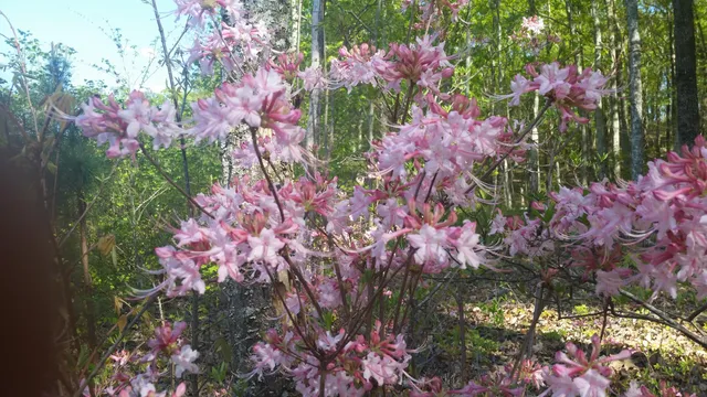 $769,900 | 443 Back Valley Road, Chickamauga, GA 30707