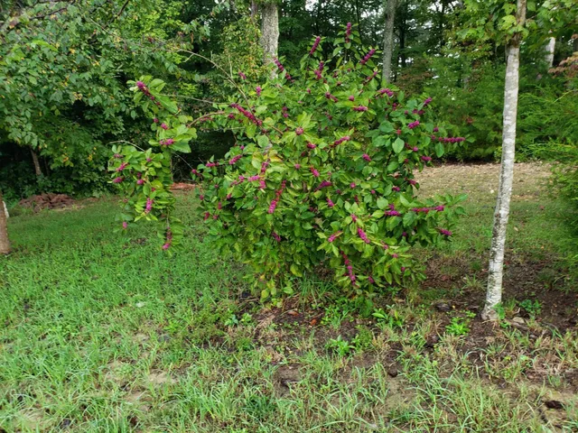 $769,900 | 443 Back Valley Road, Chickamauga, GA 30707