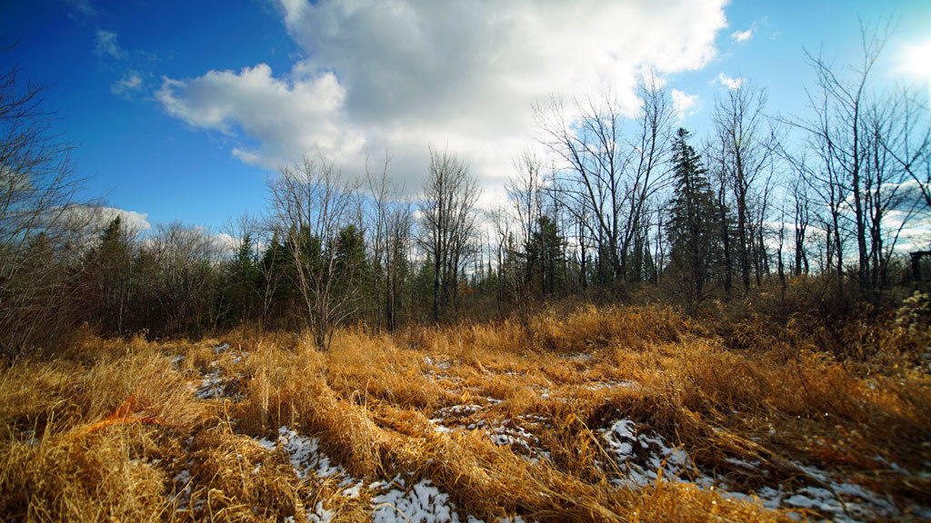 Lot 4.1 Lawlor Ridge Road Benedicta, ME 04733 - Photo 44 of 48 benedicta-me-land-30