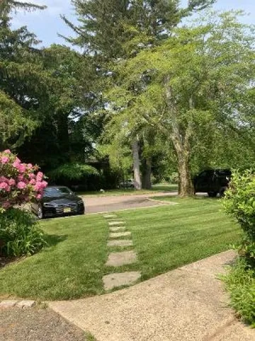 a view of a garden with an outdoor space