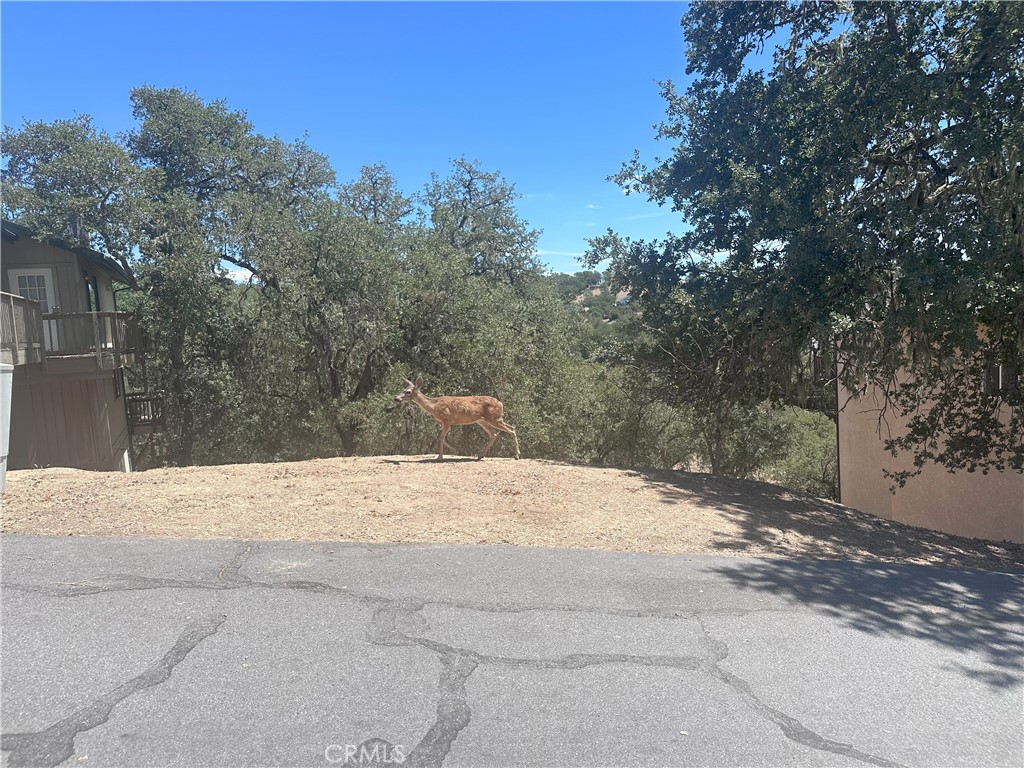2434 Stern Deck Road Bradley, CA 93426 - Photo 2 of 8