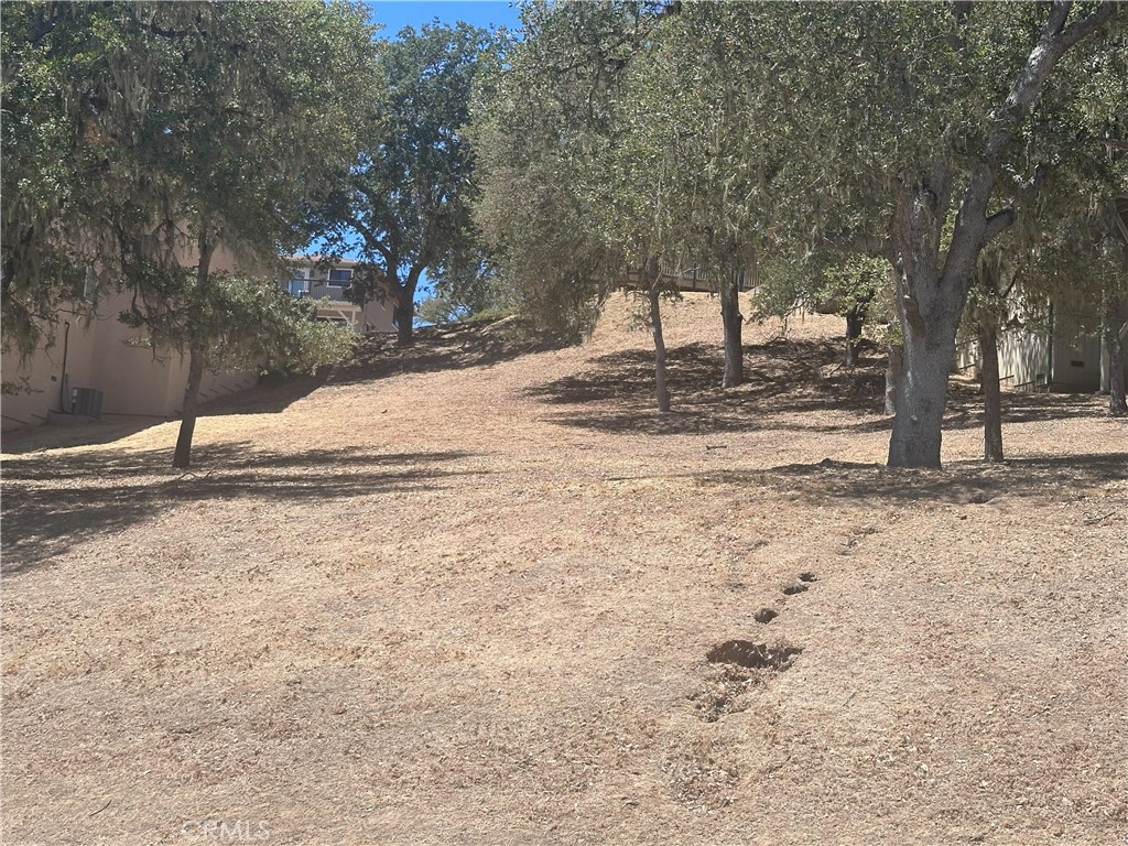 2434 Stern Deck Road Bradley, CA 93426 - Photo 6 of 8