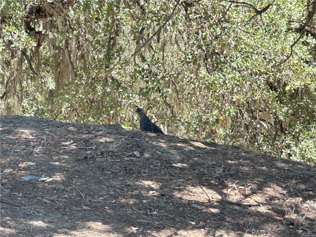 2434 Stern Deck Road Bradley, CA 93426 - Photo 8 of 8