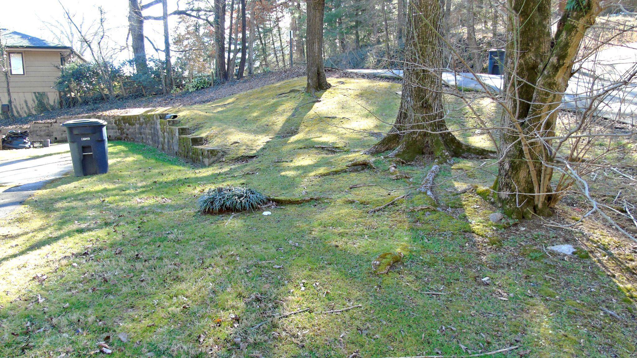 860-862 Donaldson Road Chattanooga, TN 37412 - Photo 2 of 20 Beautiful side yard