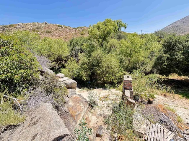 a view of a yard with a mountain