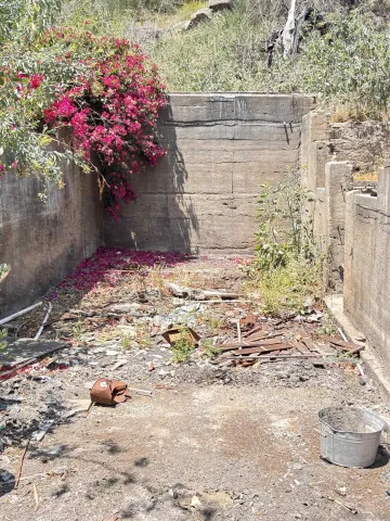 a vase of flowers sitting on a floor