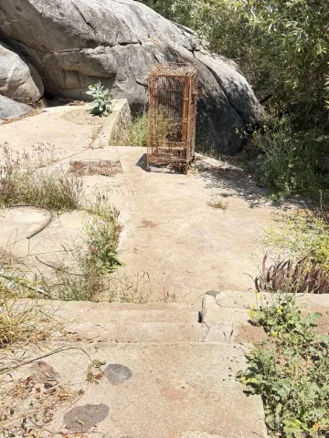 a view of a yard covered in snow