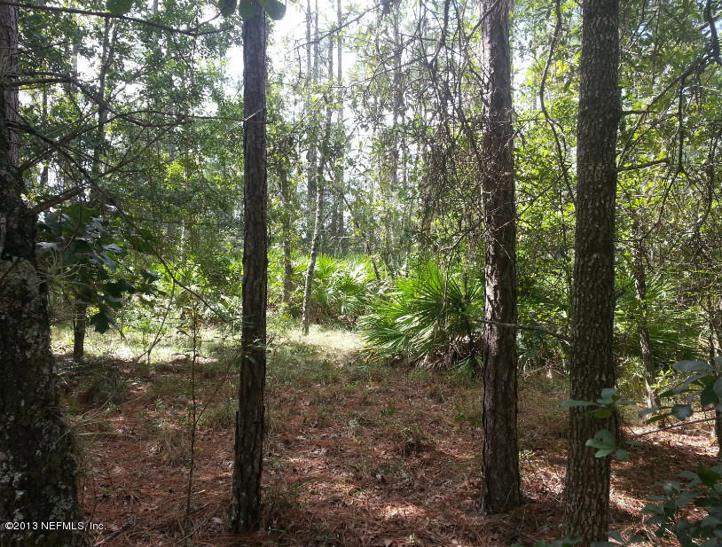 1488 Long Bay Road Middleburg, FL 32068 - Photo 14 of 24 a view of forest