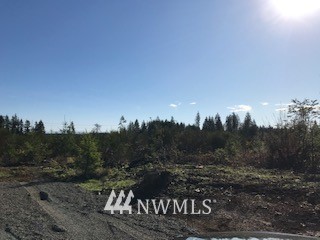 325 Coma Winlock, WA 98596 - Photo 3 of 5