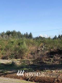 325 Coma Winlock, WA 98596 - Photo 4 of 5