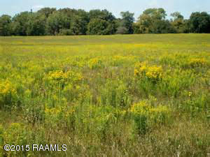 Lot 14 Tom Schexnayder Road Opelousas, LA 70570 - Photo 1 of 1 Tom Schexnayder Rd