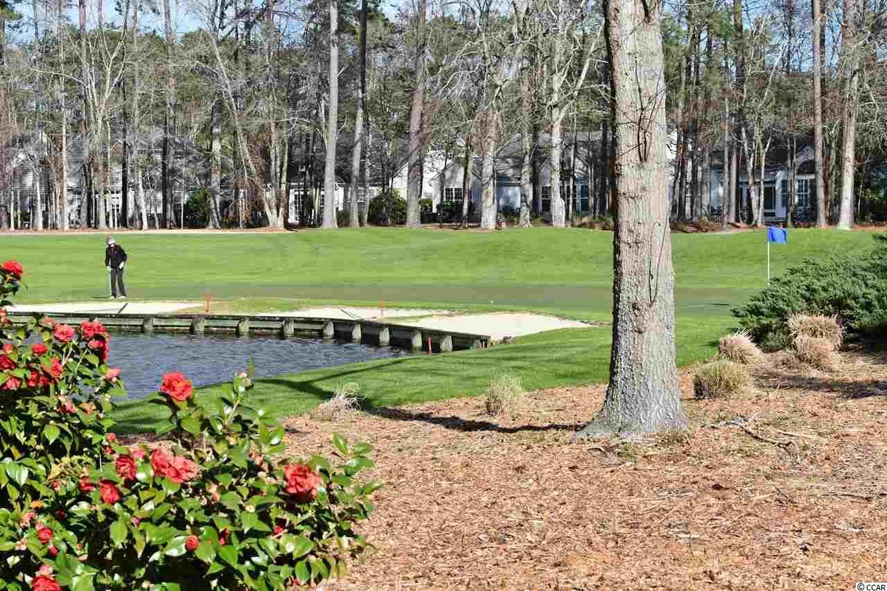 4549 Fringetree Drive Murrells Inlet, SC 29576 - Photo 23 of 28 Gallery Image 23