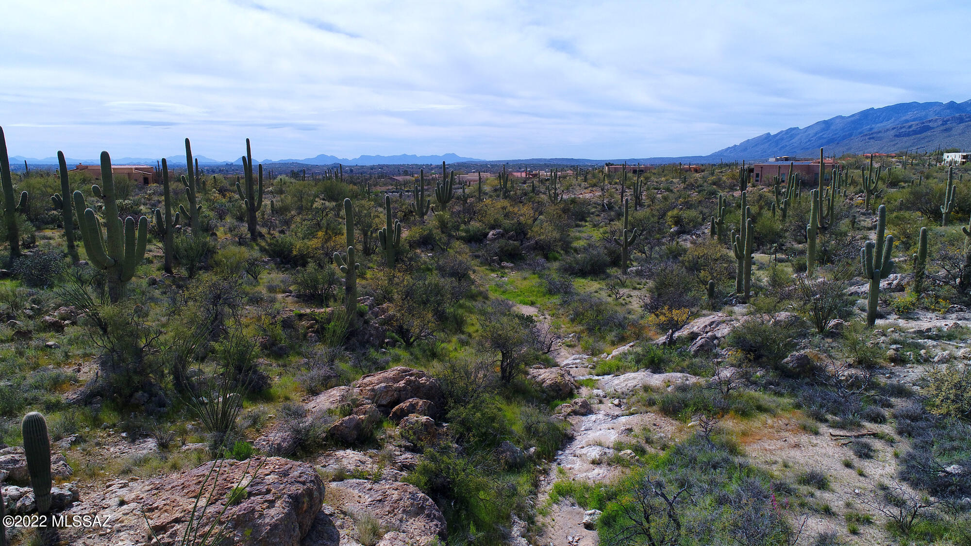 12655 East Roger Road, Unit 10 Tucson, AZ 85749 - Photo 14 of 29 Gallery Image 14