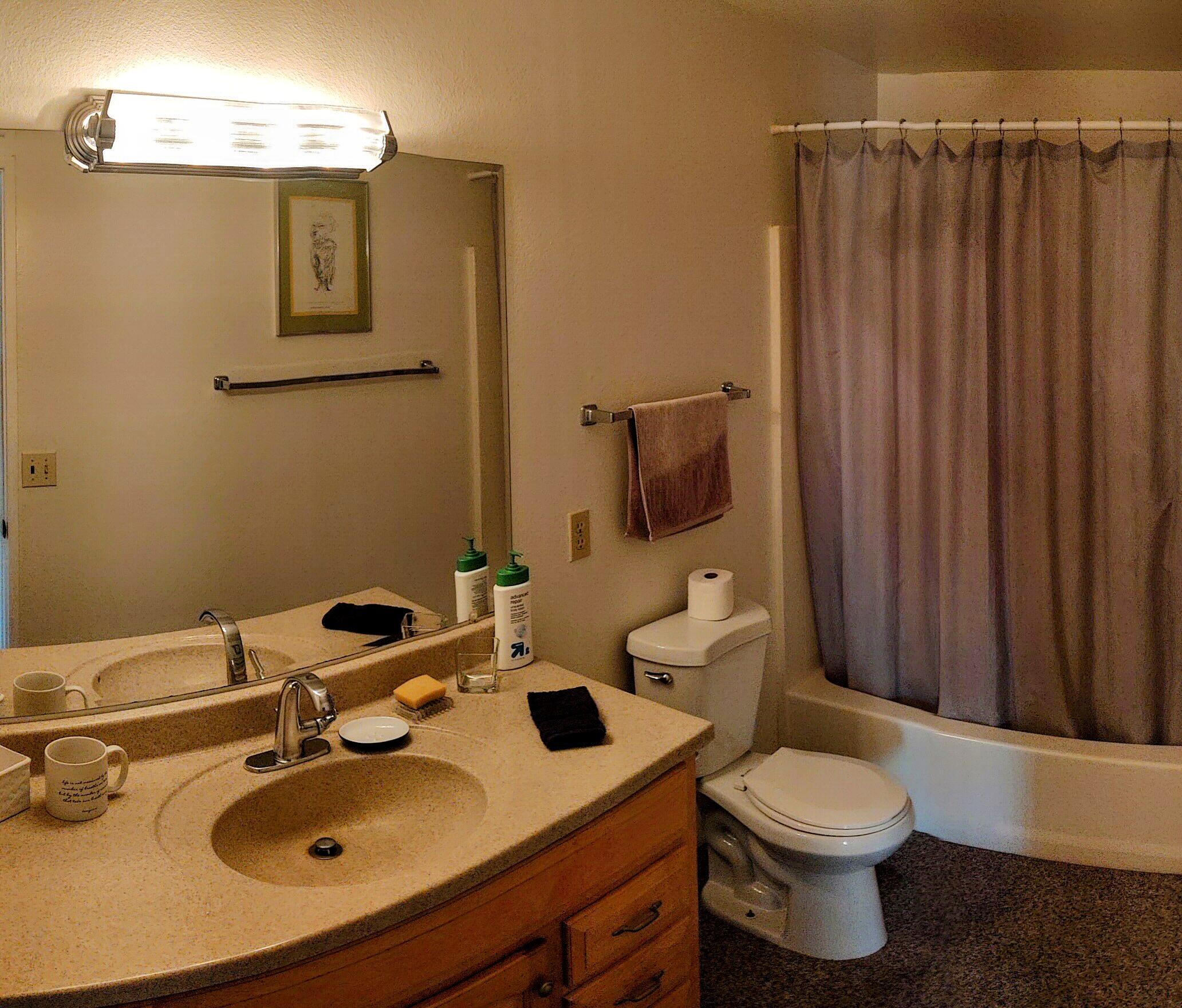 1100 East Amado Road, Unit 13B2 Palm Springs, CA 92262 - Photo 5 of 20 a bathroom with a sink mirror and toilet
