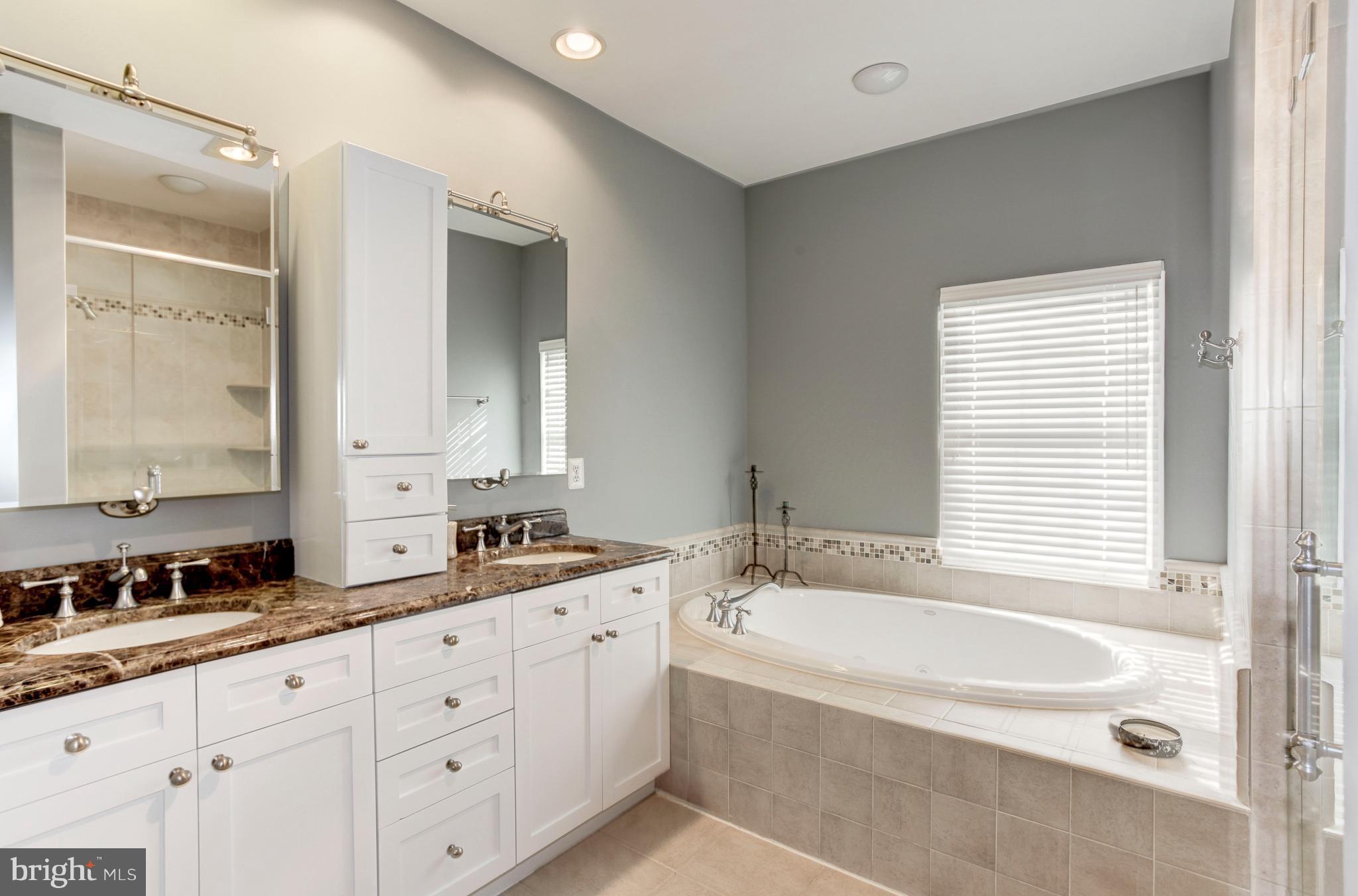 12090 Kinsley Place Reston, VA 20190 - Photo 22 of 30 Bath (Master)