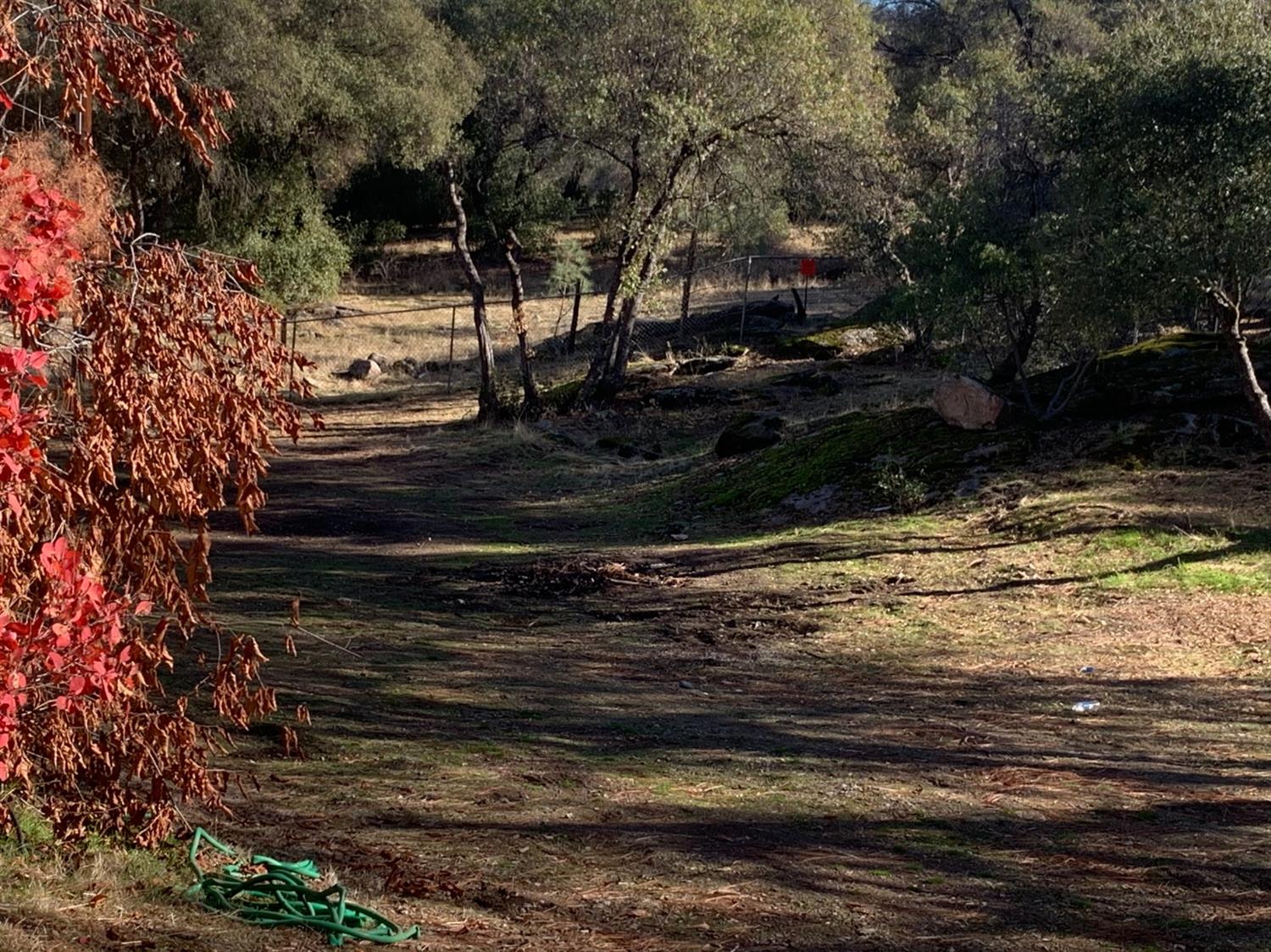 31675 Sioux Road Coarsegold, CA 93614 - Photo 17 of 27 Gallery Image 17