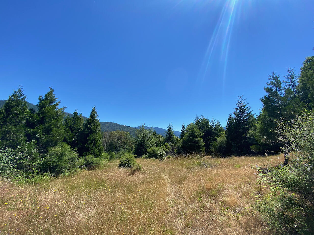322 Beecher Road Wolf Creek, OR 97497 - Photo 39 of 47 322 Beecher Rd