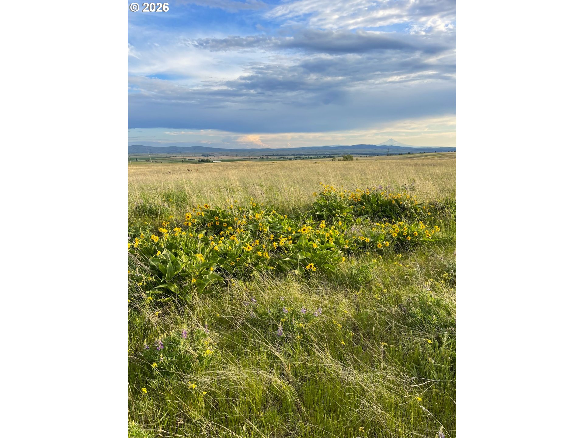 44 Wildhorse Ranch Road Goldendale, WA 98620 - Photo 16 of 42