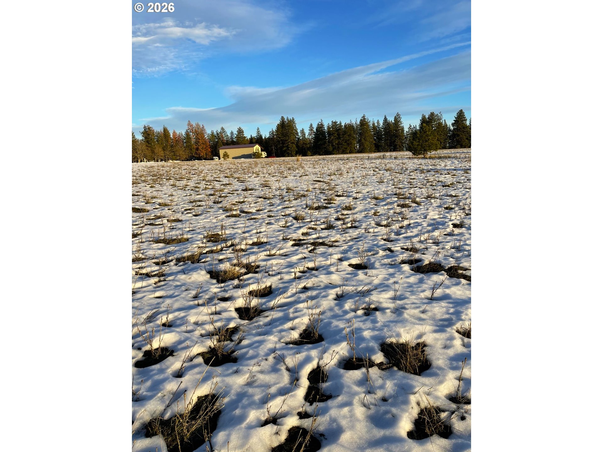 44 Wildhorse Ranch Road Goldendale, WA 98620 - Photo 26 of 42 a view of a yard