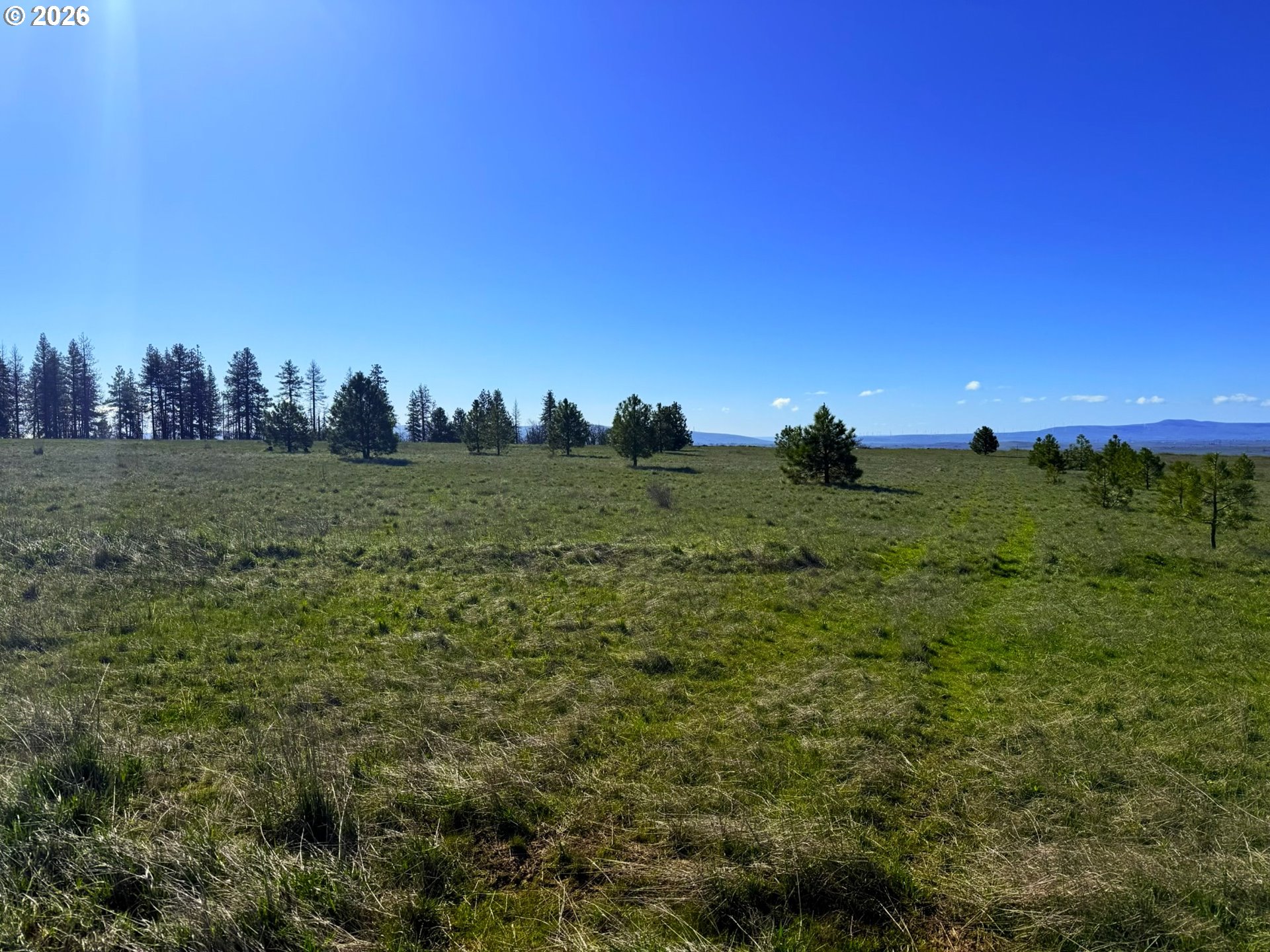 44 Wildhorse Ranch Road Goldendale, WA 98620 - Photo 36 of 42 a view of a field with trees in background