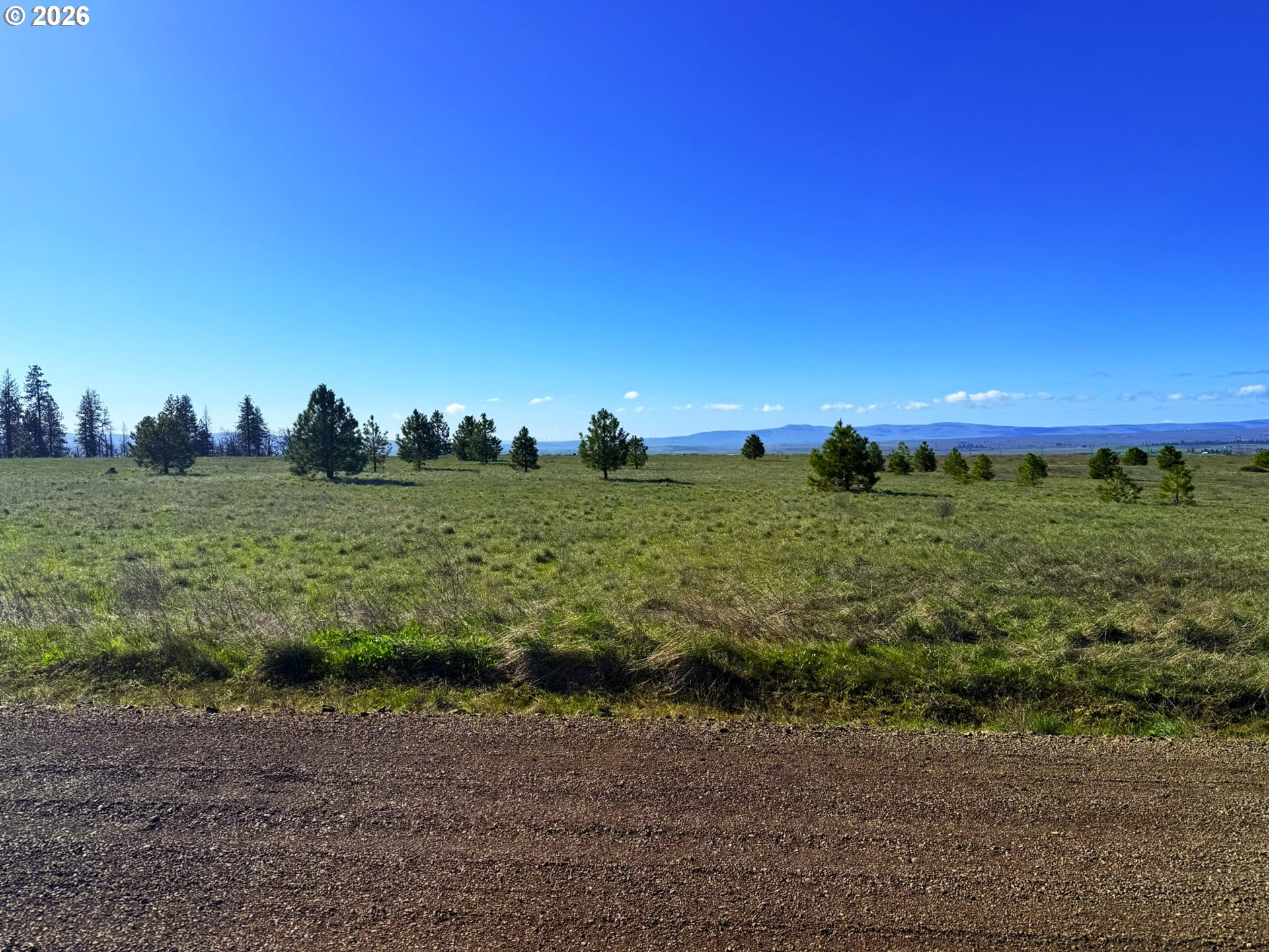 44 Wildhorse Ranch Road Goldendale, WA 98620 - Photo 37 of 42 a view of a big yard with plants and large trees