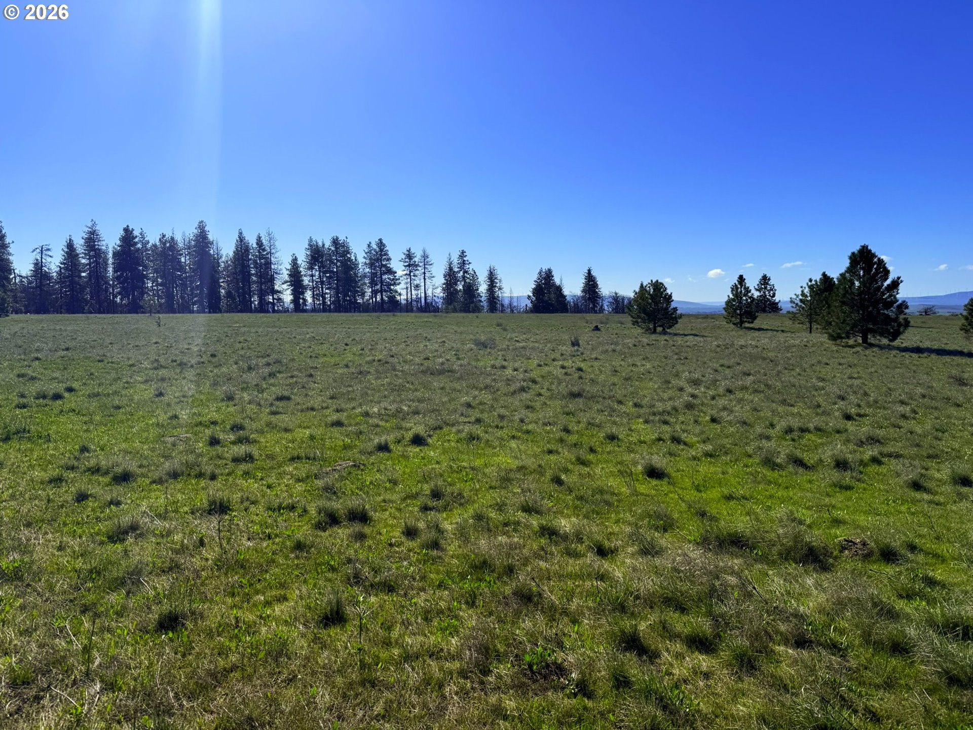44 Wildhorse Ranch Road Goldendale, WA 98620 - Photo 39 of 42 a view of a yard