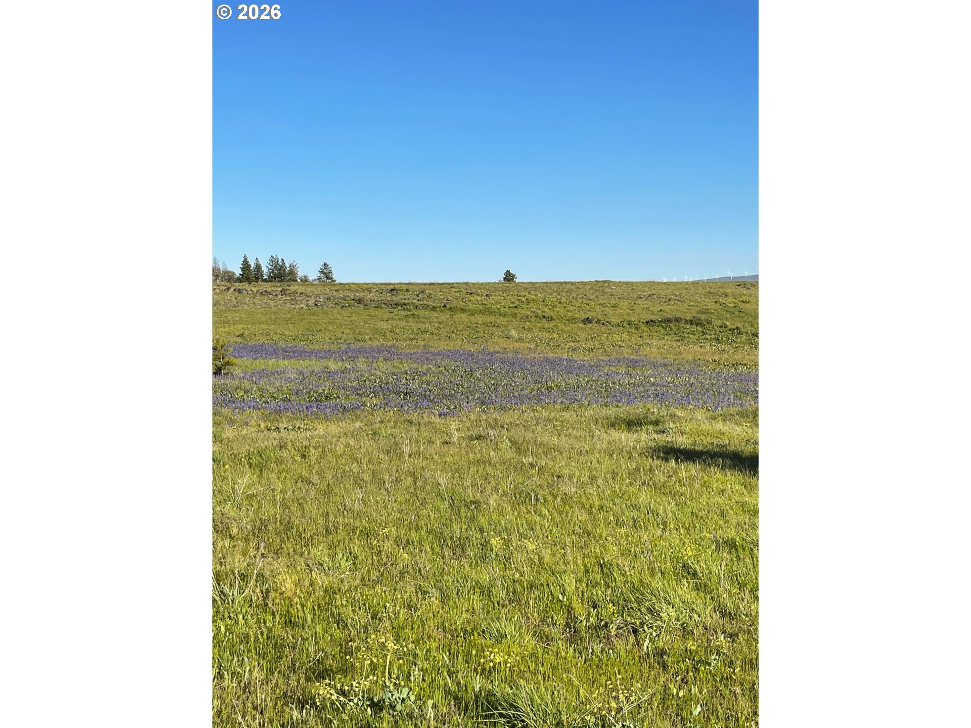 44 Wildhorse Ranch Road Goldendale, WA 98620 - Photo 9 of 42 a view of ocean