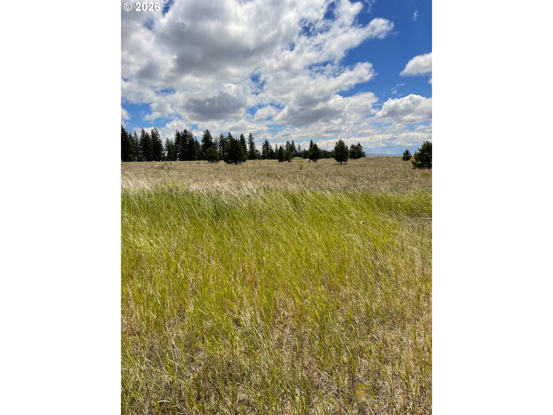 44 Wildhorse Ranch Road Goldendale, WA 98620 - Photo 10 of 42 a view of a lake view