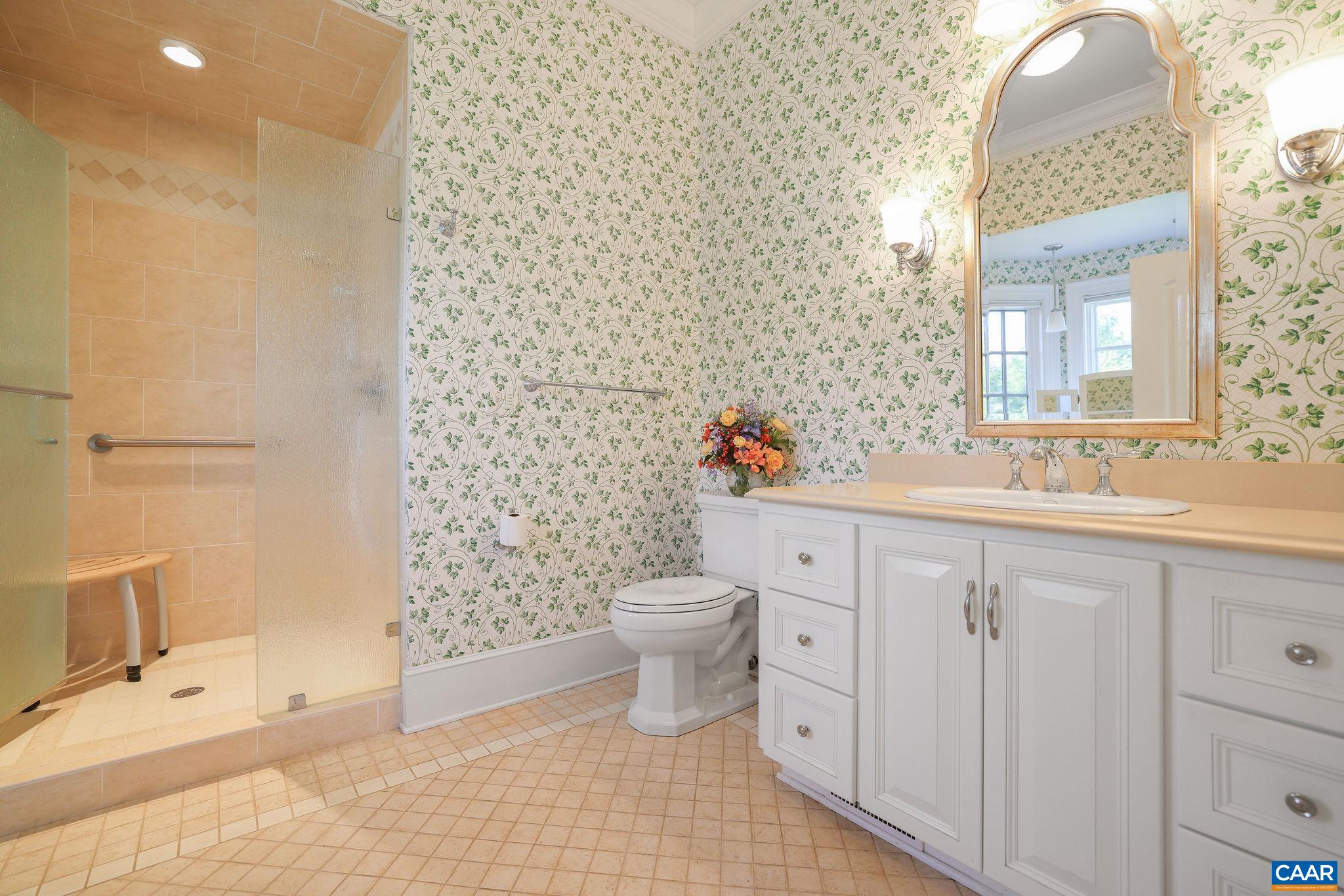 6385 Indian Ridge Drive Earlysville, VA 22936 - Photo 17 of 48 a bathroom with a sink a toilet and shower