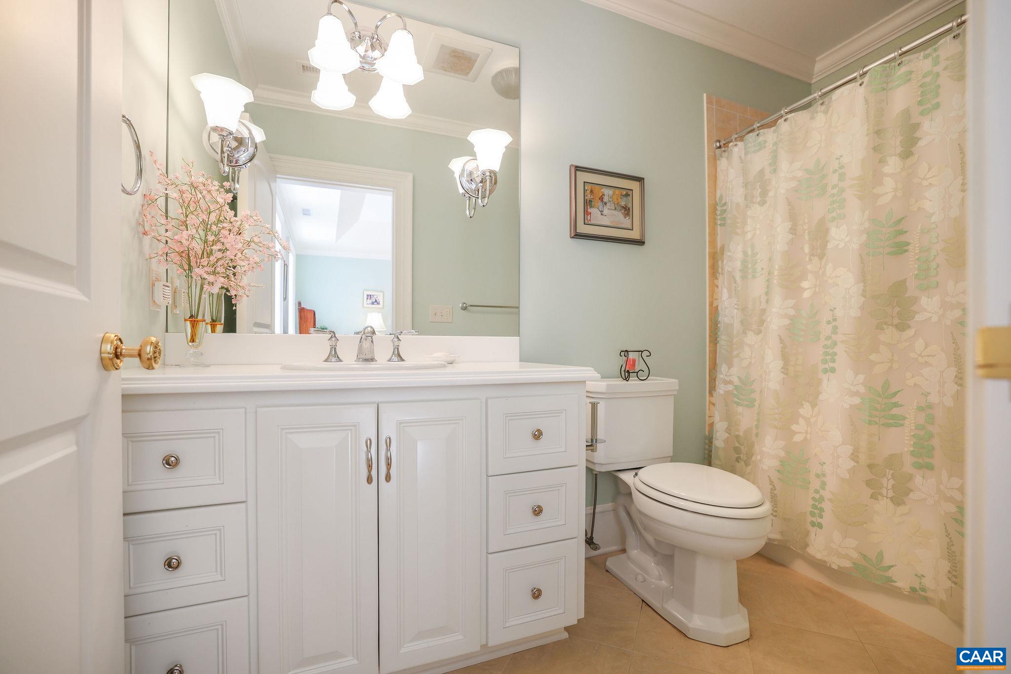 6385 Indian Ridge Drive Earlysville, VA 22936 - Photo 29 of 48 a bathroom with a sink a toilet and a large mirror