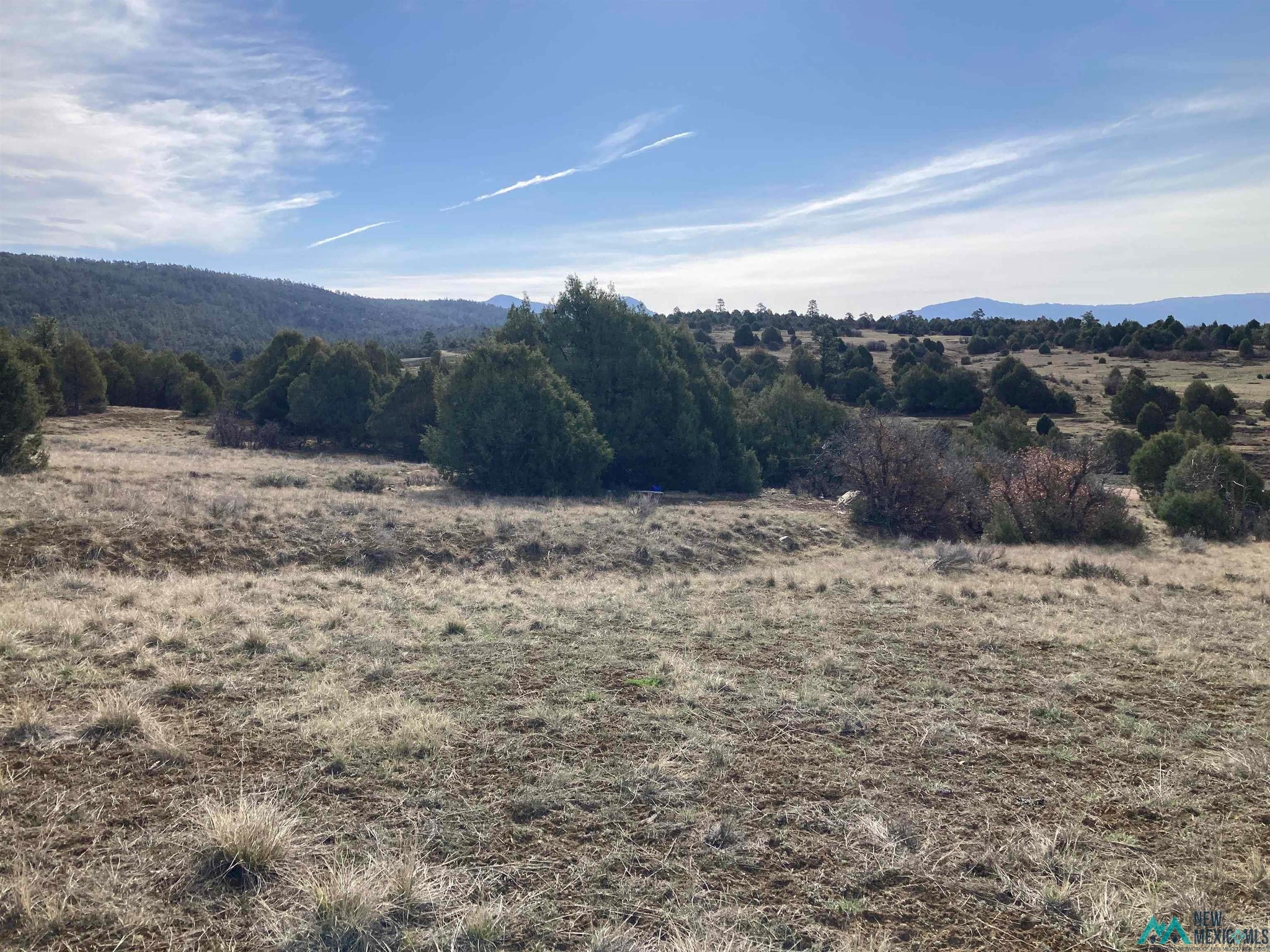 1 Cr 341 Road Chama, NM 87520 - Photo 8 of 17 Gallery Image 8