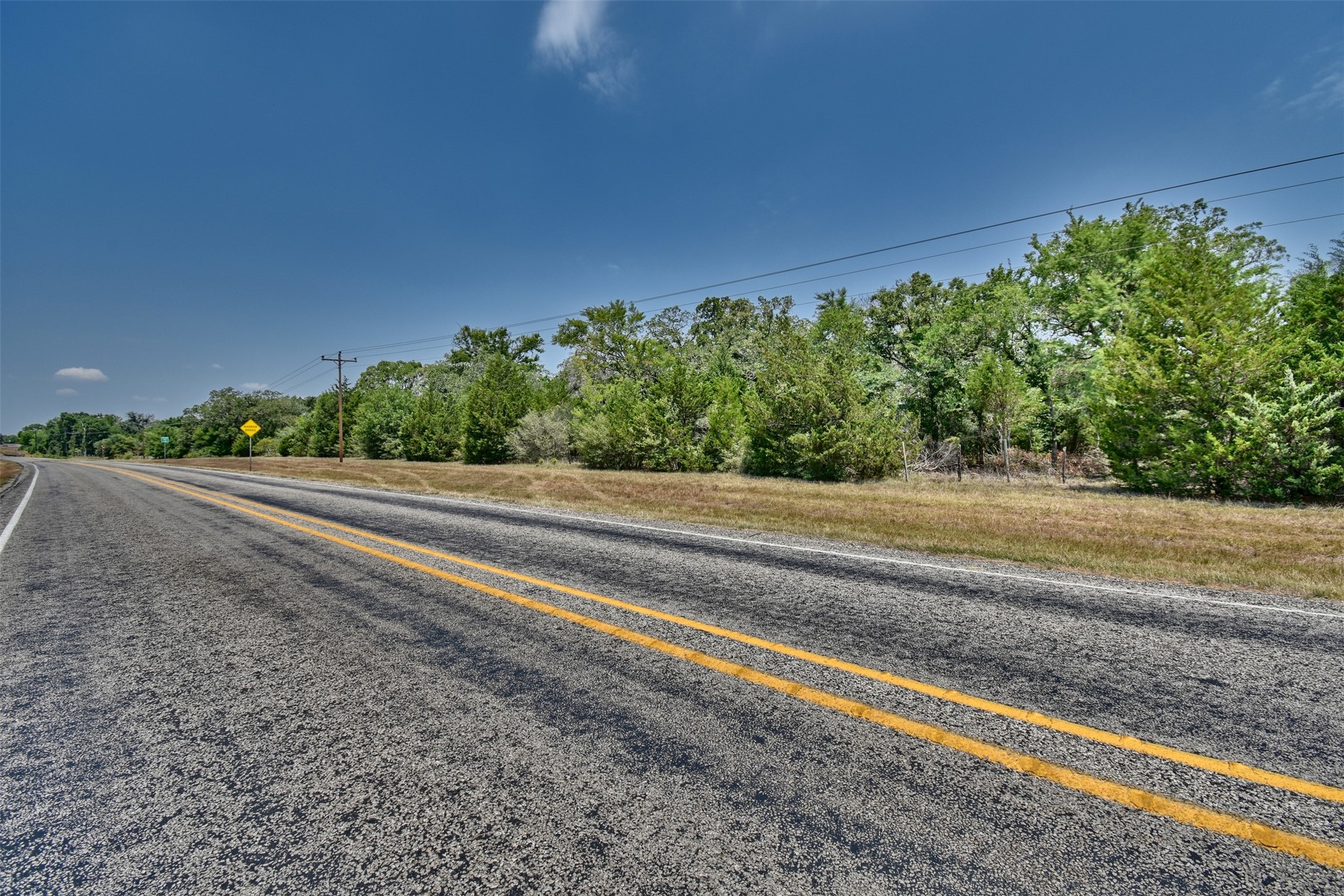 0 Fm 60 Somerville, TX 77879 - Photo 14 of 22 a view of a yard