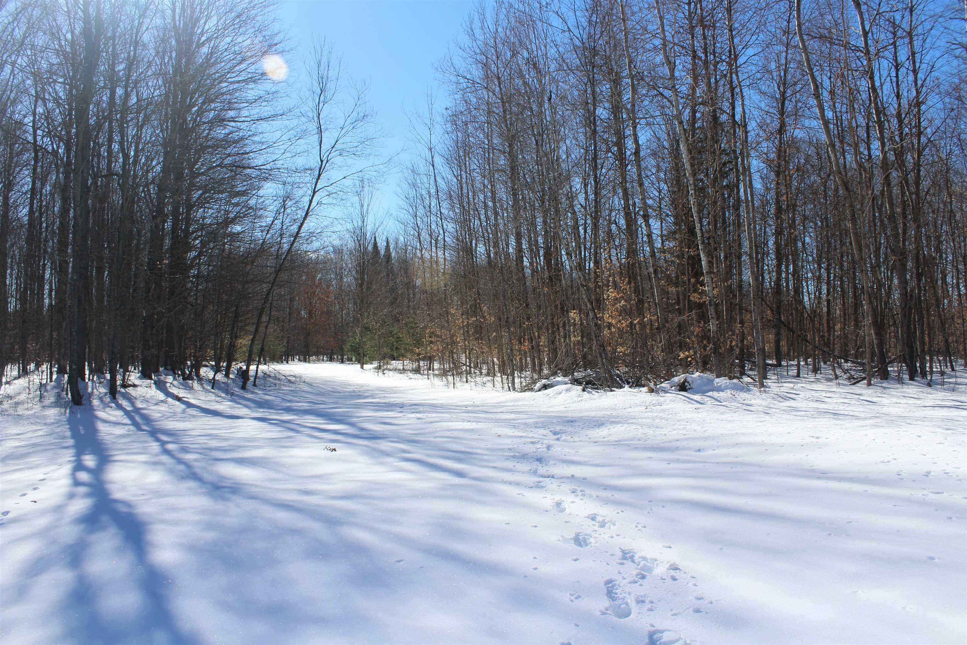 Vl Southeast Vl Se Crouch Road Fife Lake, MI 49633 - Photo 5 of 19