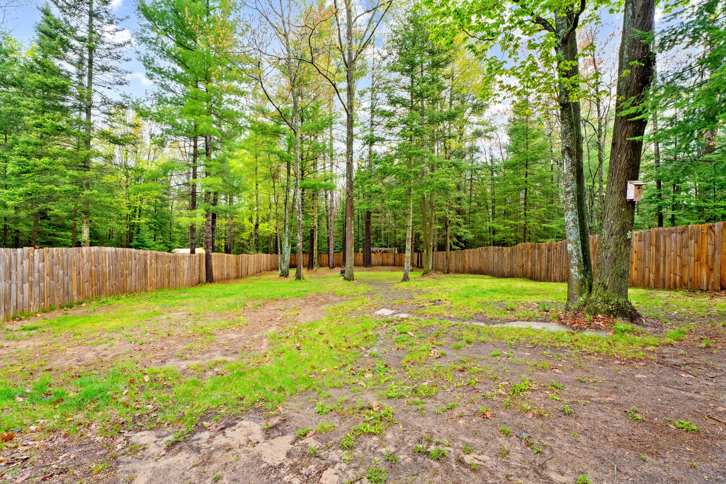19430 Carter Road Hillman, MI 49746 - Photo 27 of 35 Fenced in