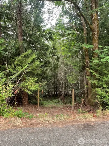 a backyard of a house with lots of trees