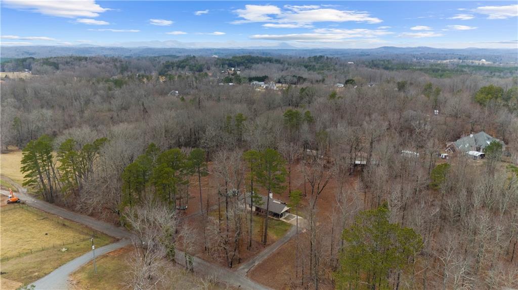 6124 Clyde Conner Road Murrayville, GA 30564 - Photo 38 of 48 a view of a city