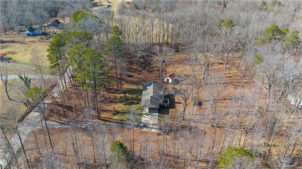 6124 Clyde Conner Road Murrayville, GA 30564 - Photo 46 of 48 a backyard of a house with lots of green space and trees