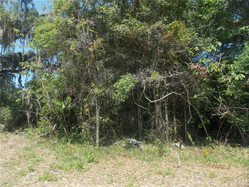 1010 Warnell Road Coleman, FL 34785 - Photo 1 of 1 Gallery Image 1
