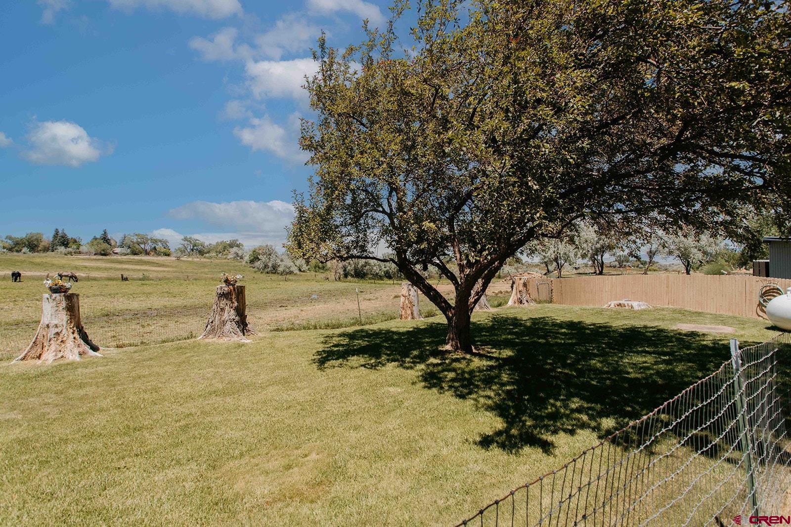 14679 5875th Road Montrose, CO 81403 - Photo 29 of 45