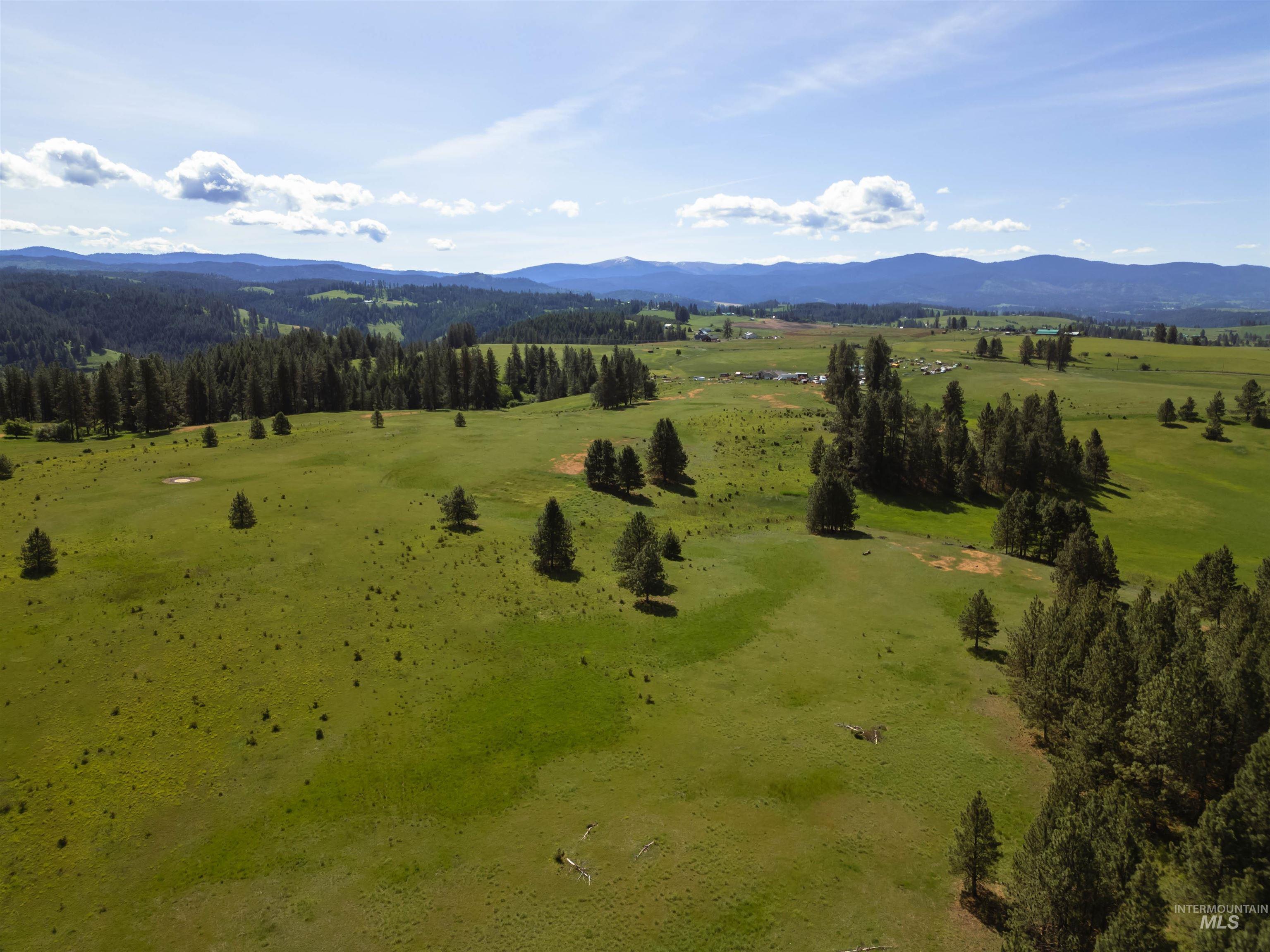 216 Ulmer Road Kooskia, ID 83539 - Photo 3 of 47