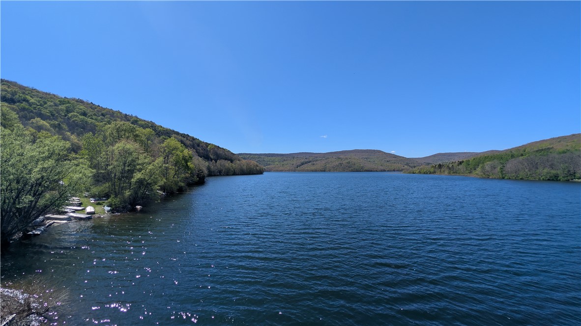 Lot 5 East River Road Andes, NY 13731 - Photo 8 of 39