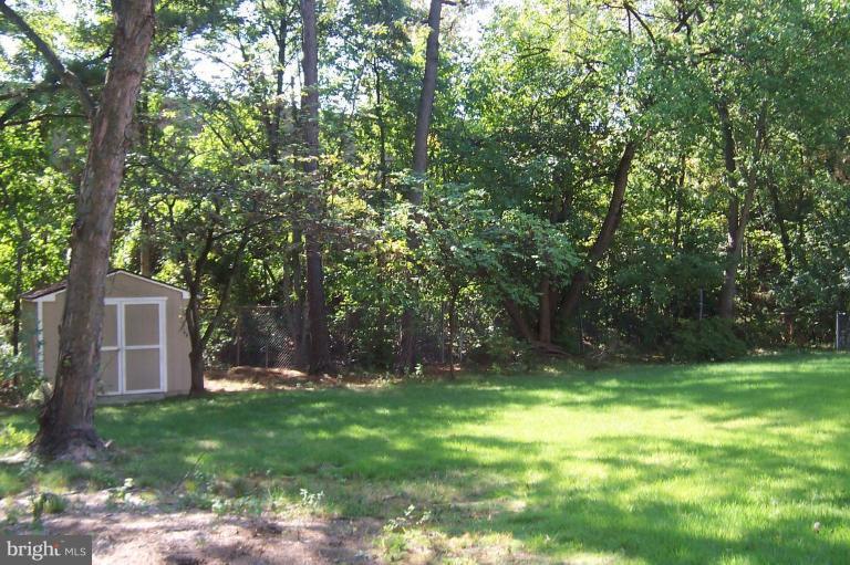 1901 Elton Road Adelphi, MD 20783 - Photo 5 of 27 Huige Lovely Yard and Storage shed