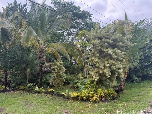 15-1611 Beach Road Keaau, HI 96749 - Photo 5 of 12