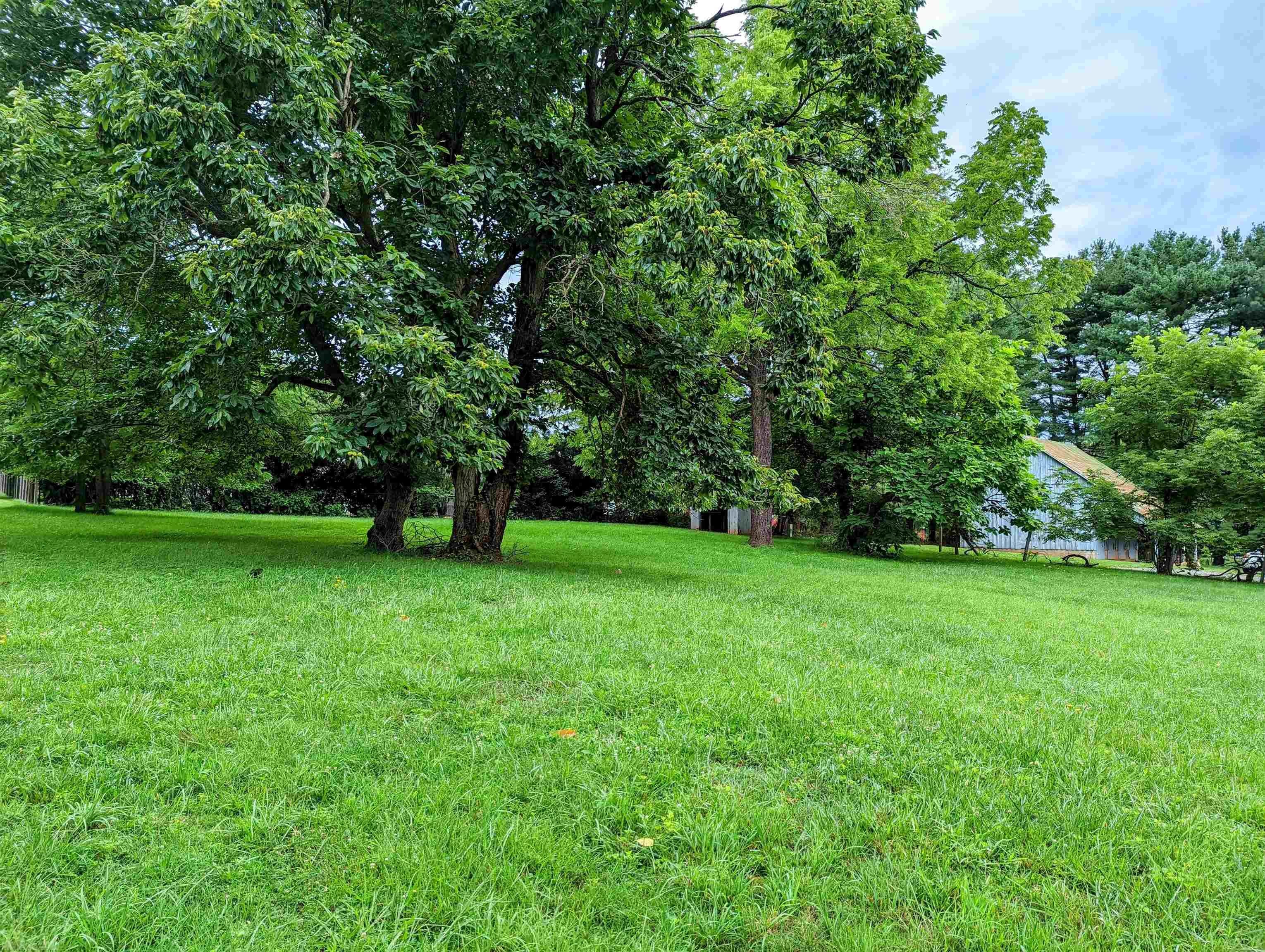 Tbd Barberry Road Southeast Floyd, VA 24091 - Photo 4 of 6 Gallery Image 4