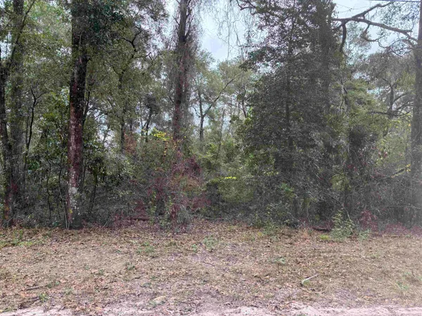 $11,500 | 133 Rochelise Road, Crawfordville, FL 32327